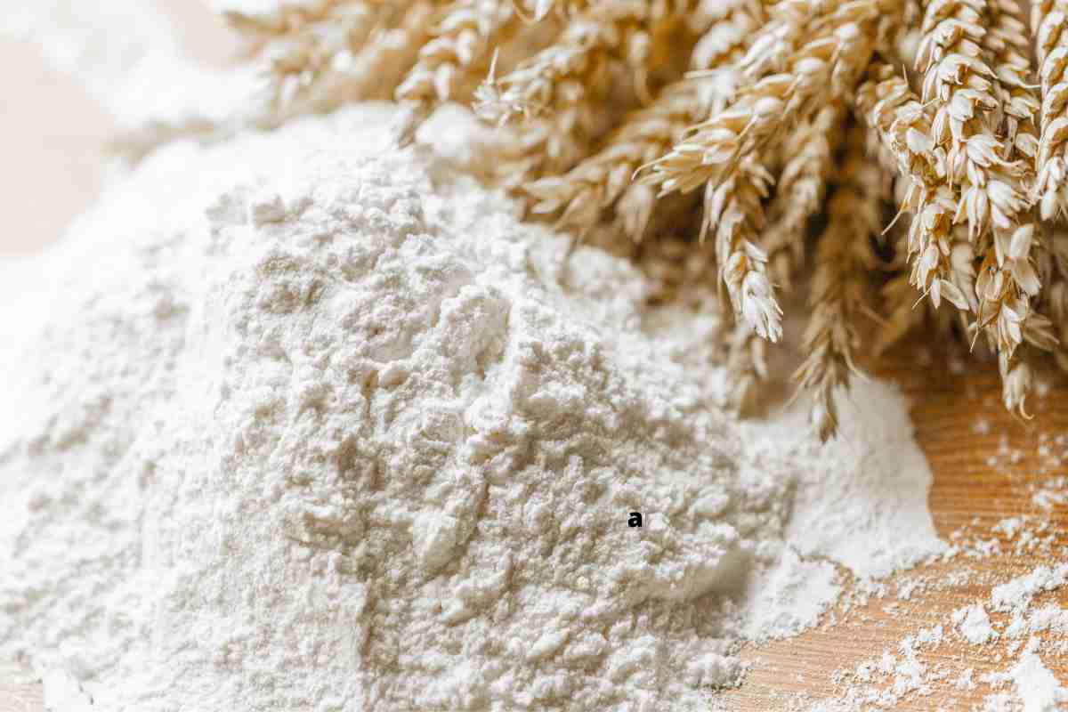 Pasta grano italiano: lista aziende