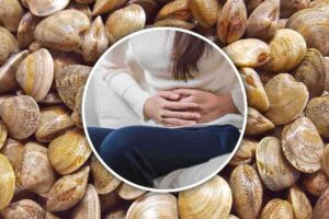 due mani al centro e attorno una serie di vongole