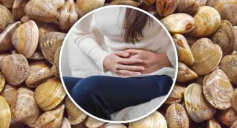 Stop alle vongole, ora non ci sono dubbi: questa fa davvero male!